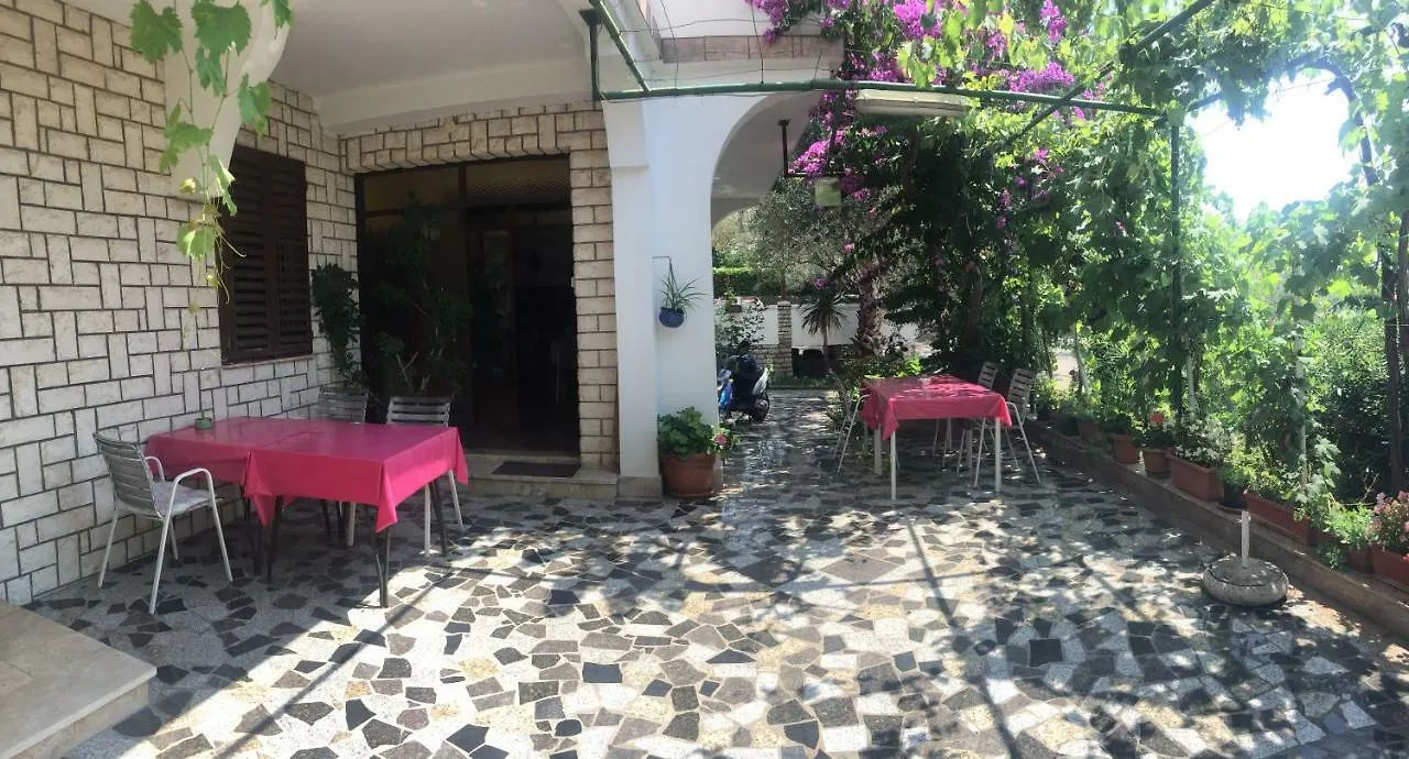Guest house Apartments Matusan Palit Croatia