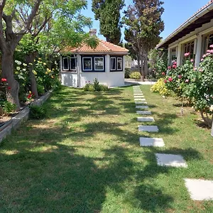 Affittacamere Apartment-rooms Preka, Palit